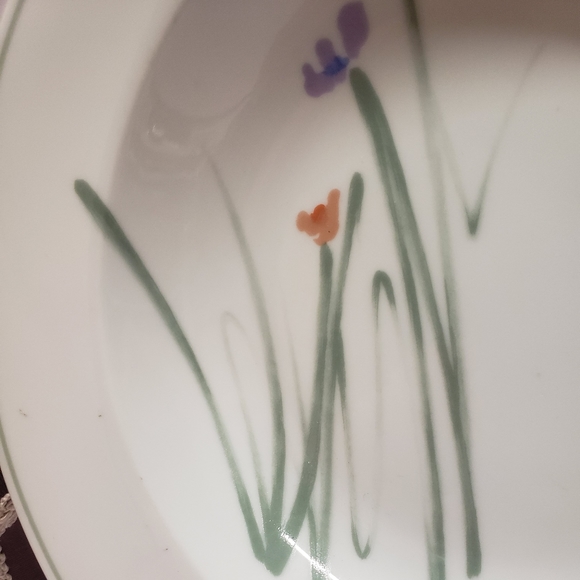 2 Unique Mikasa Sketch Book by Bob Van Allen 9" Bowls Flower Sketch - Picture 8 of 14